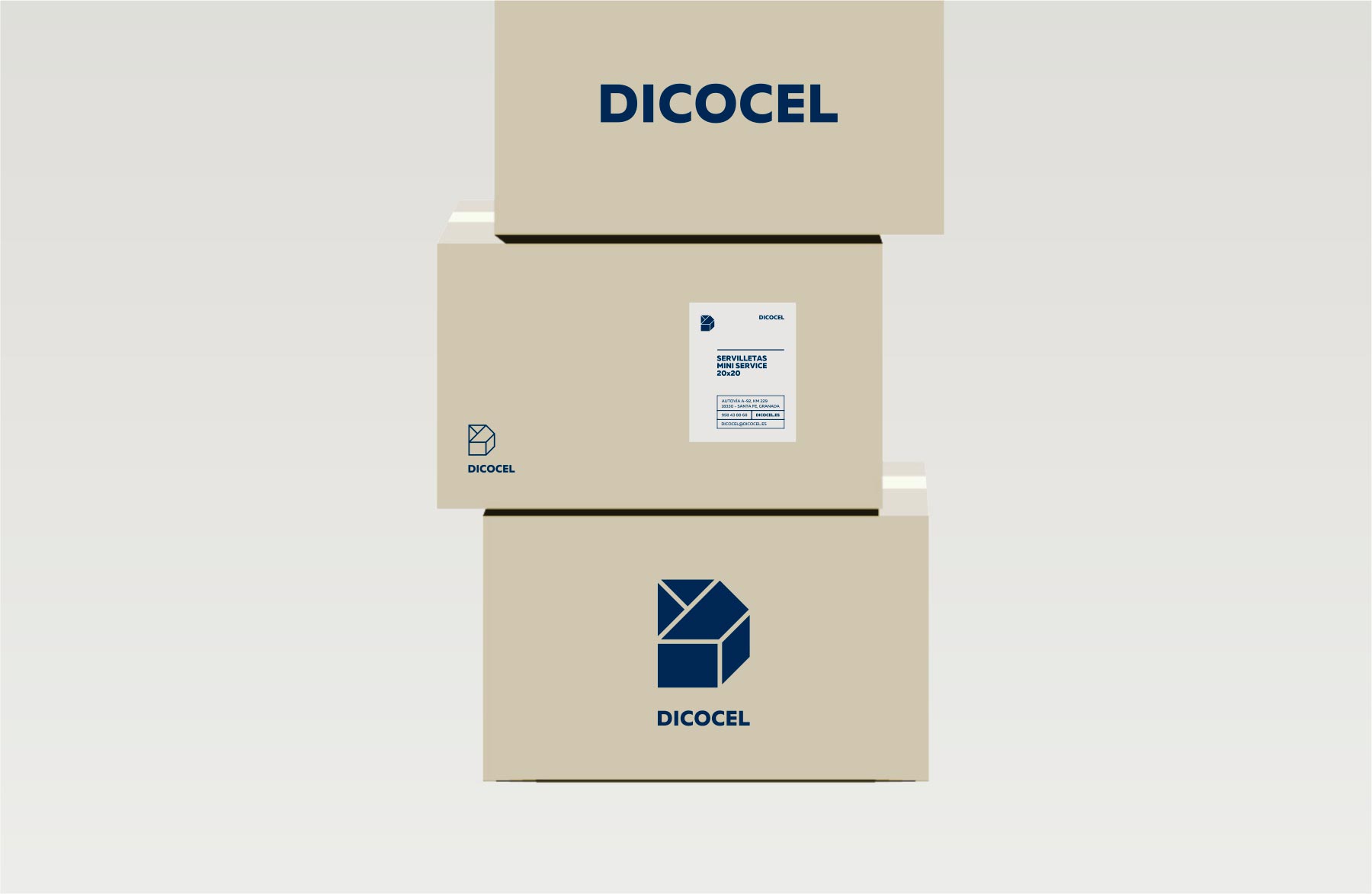 dicocel packaging embalajes - javier real