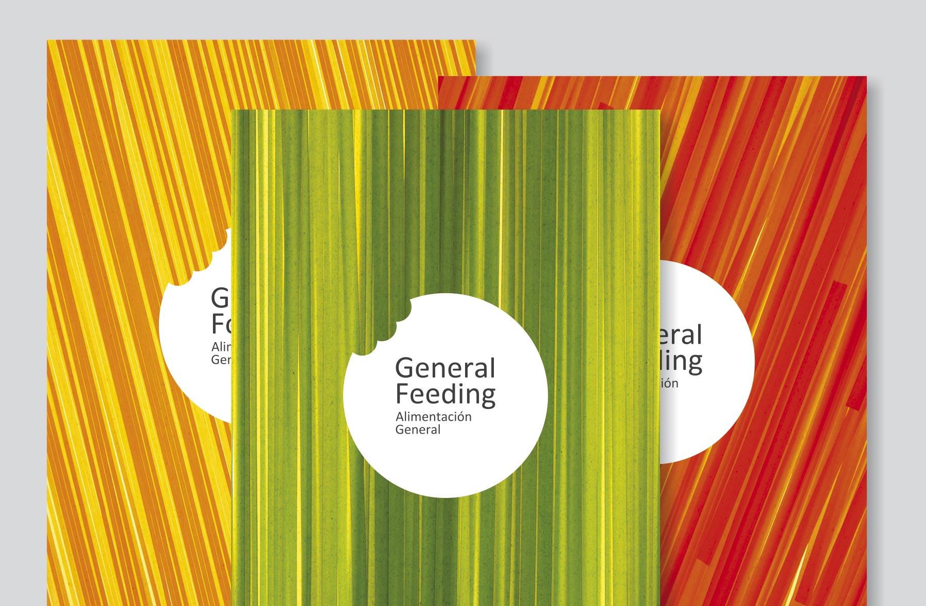 general feeding alimentacion folletos - javier real